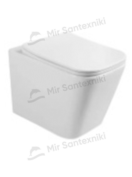 Debora unitazi DBR-M201